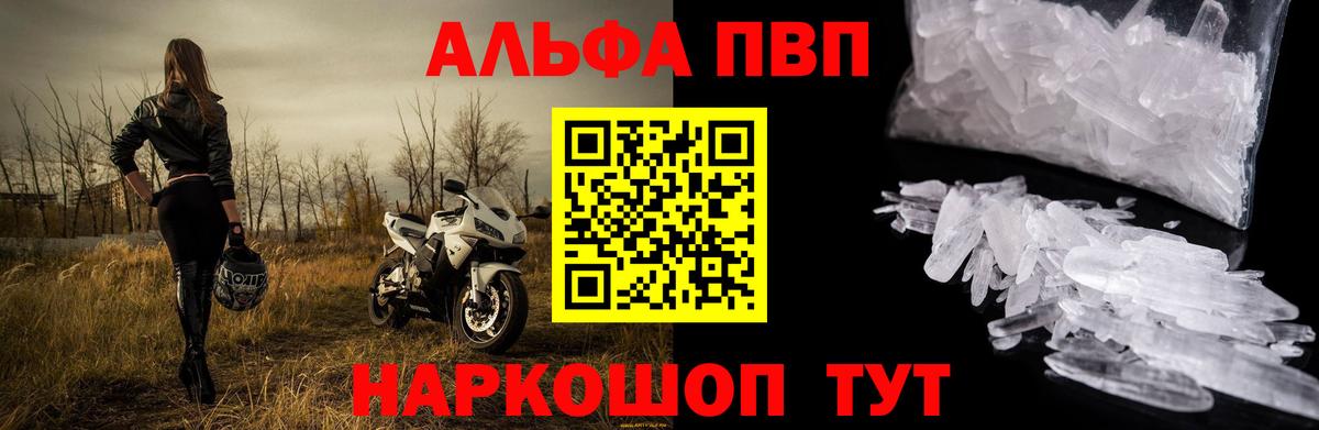 Alfa_PVP СК КРИС Кольчугино