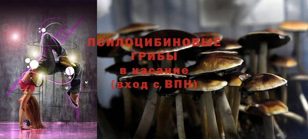 бошки Карпинск
