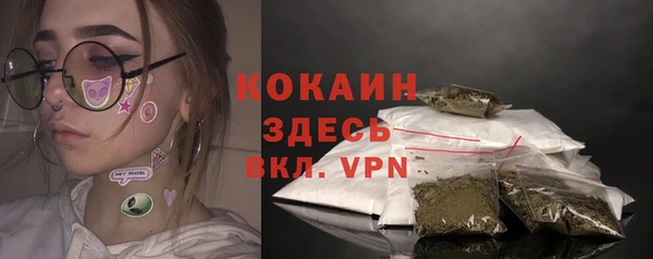 ПСИЛОЦИБИНОВЫЕ ГРИБЫ Каменка