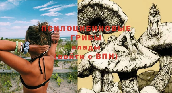 бошки Карпинск