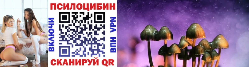наркота  Кольчугино  Галлюциногенные грибы Psilocybine cubensis 