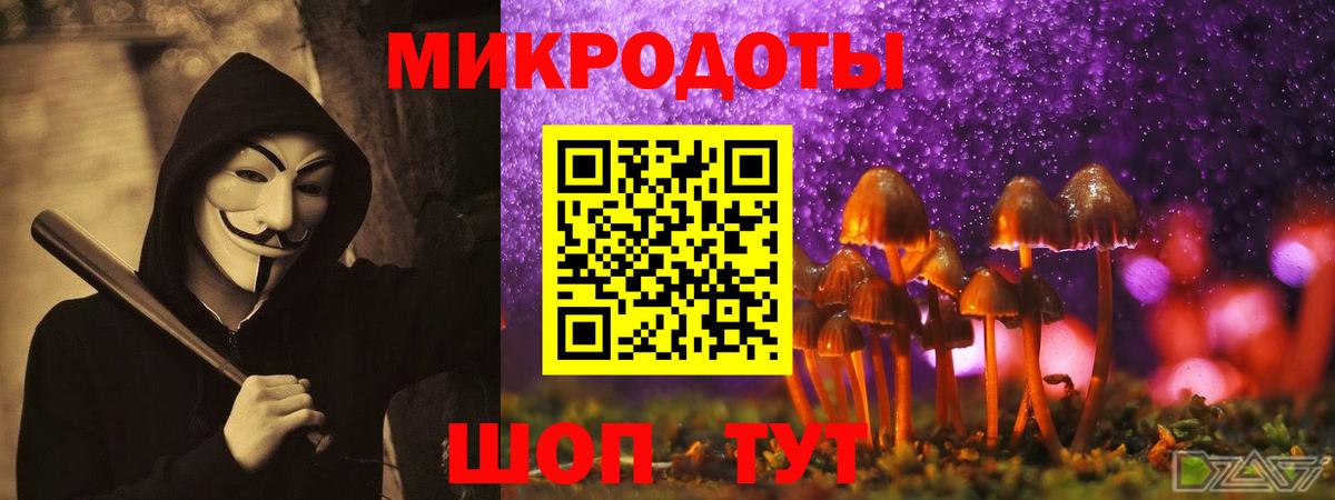 Галлюциногенные грибы мицелий  Вход с VPN  Галлюциногенные грибы Psilocybine cubensis  Кольчугино 